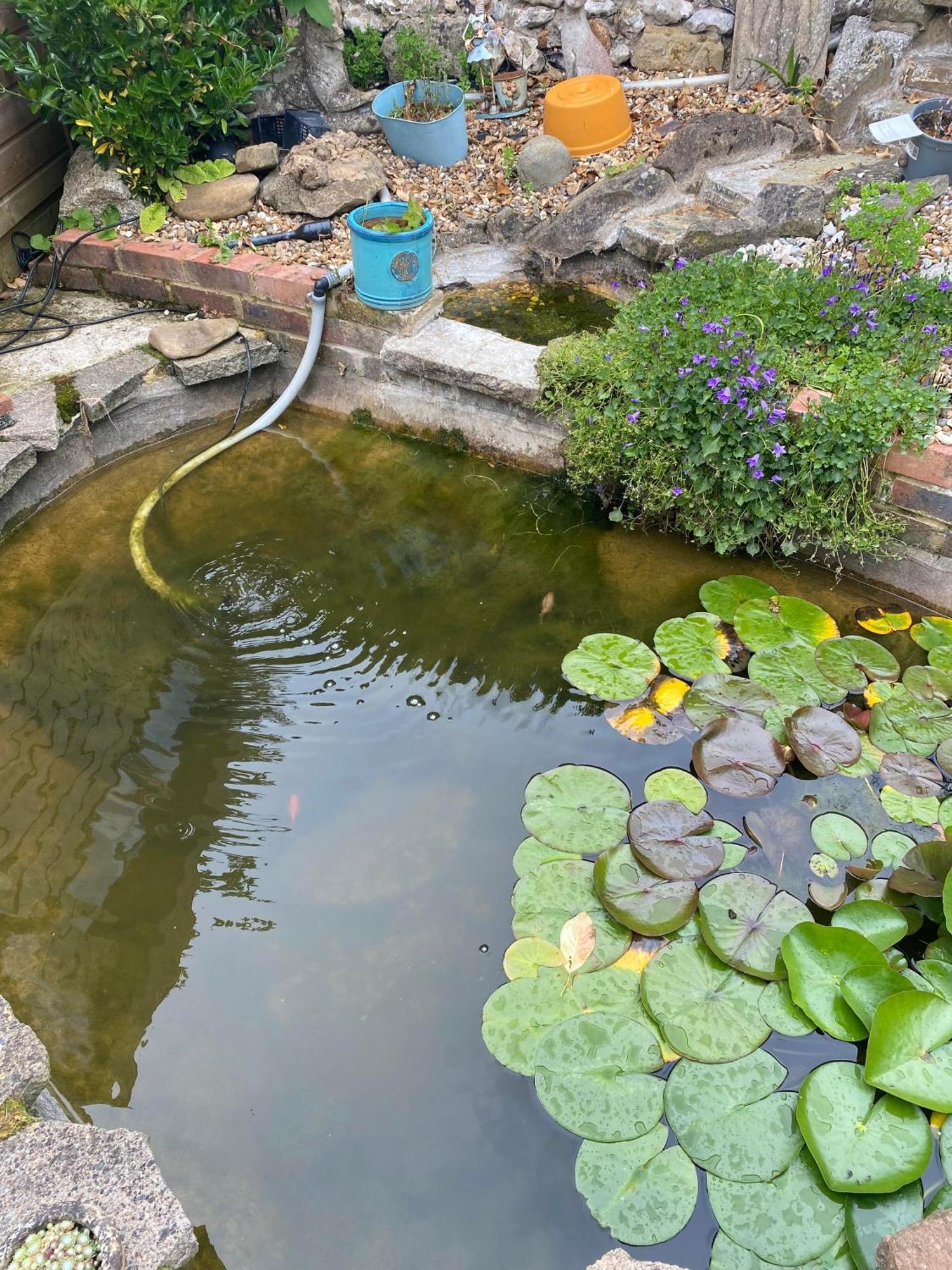 Pond Cottage パーリー エクステリア 写真