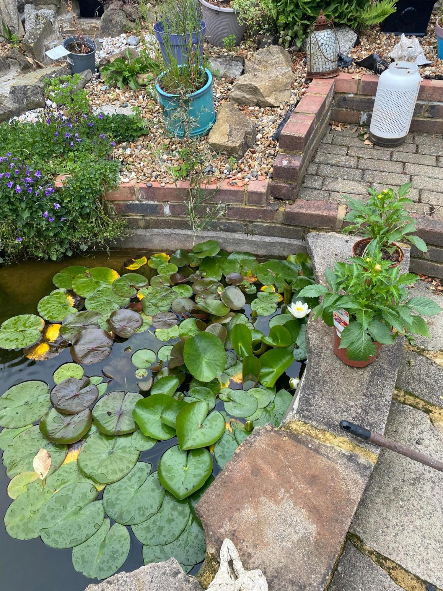 Pond Cottage パーリー エクステリア 写真